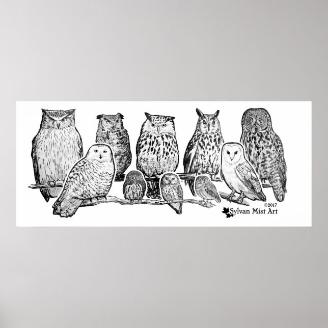 Owls Poster (Front)