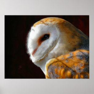 OWLS POSTER