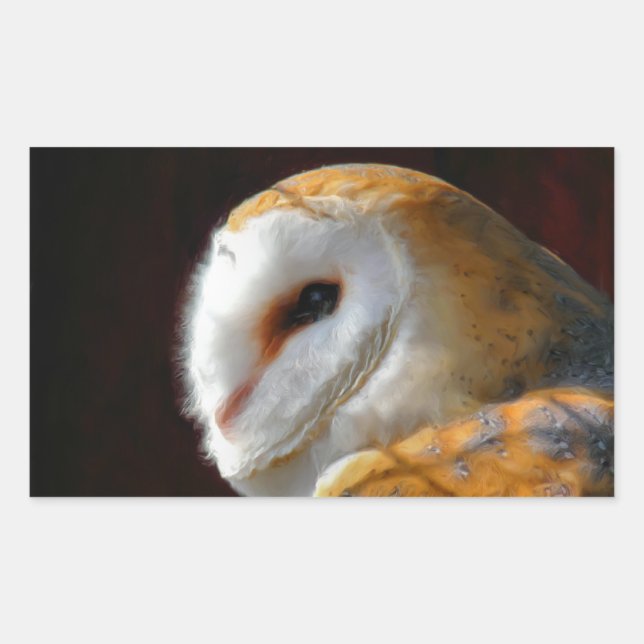 OWLS RECTANGULAR STICKER (Front)