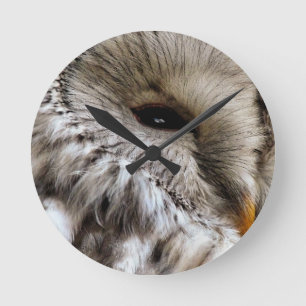 OWLS ROUND CLOCK