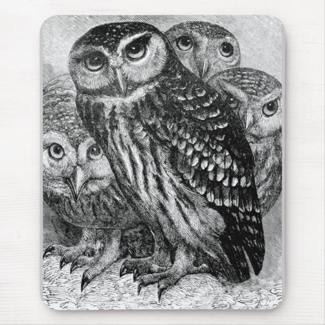 Owls, vintage engraving mouse pad (Front)