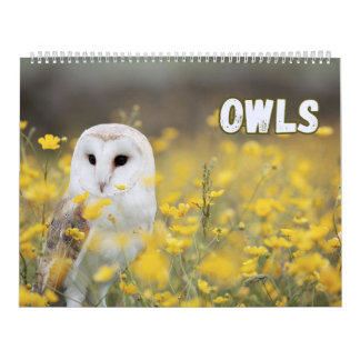 Owls with Beautiful Nature and Forest Scenes  Calendar