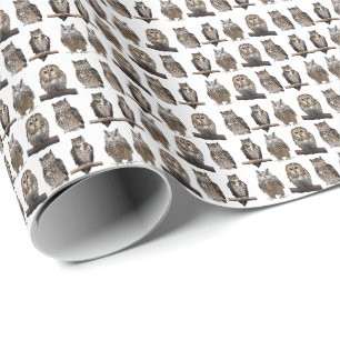 Owls Wrapping Paper