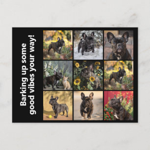 Own 9 x pictures + text  postcard