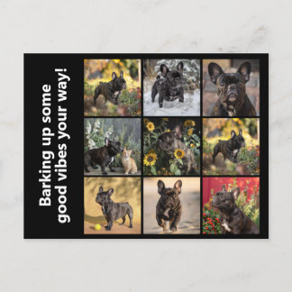 Own 9 x pictures + text postcard