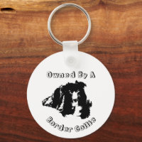 Owned By A Border Collie Cute Dog