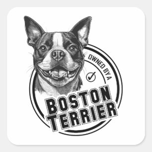 Owned by a Boston Terrier Square Sticker