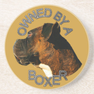 Owned by a boxer coaster