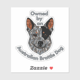 Owned by a Brattle Dog