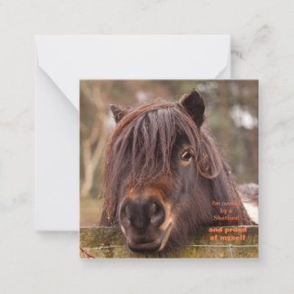 Owned by a Shetland note card