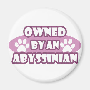 Owned by an Abyssinian Magnet