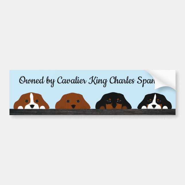 Owned By Cavalier King Charles Spaniels Bumper Sticker (Front)