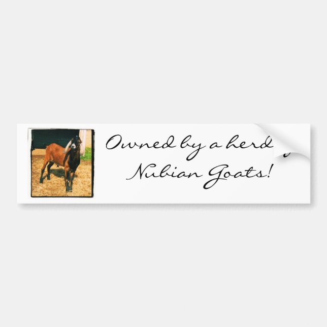 Owned by Goats Bumper Sticker (Front)