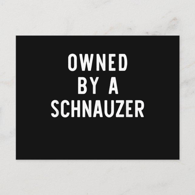 Owned By Schnauzer Funny Dog Lover Gift Christmas Announcement Postcard (Front)