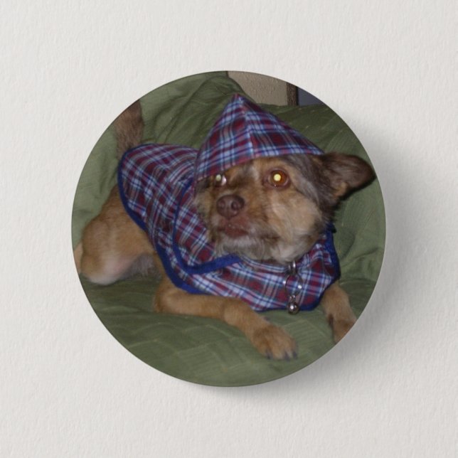 Owo's pets: Scooby 6 Cm Round Badge (Front)
