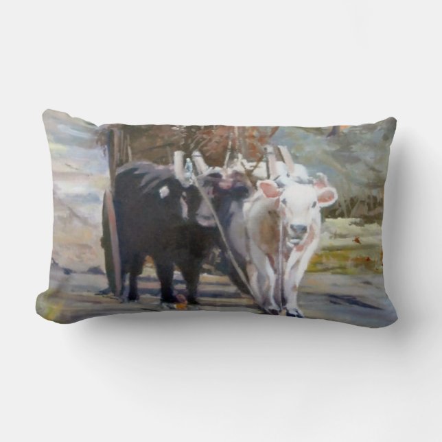 Ox-drawn wagon lumbar cushion (Front)