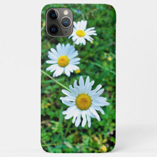 Ox-Eye Daisies iPhone 11 Pro Max Case