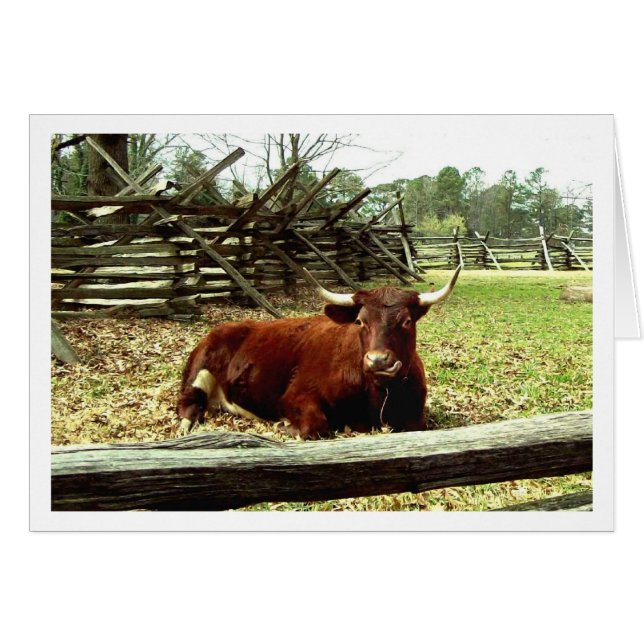 Ox in the Pasture (Front Horizontal)