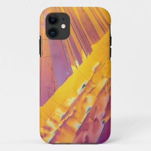 Oxalic Acid Crystals iPhone 11 Case