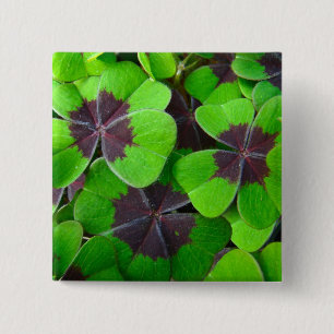Oxalis Leaves - Red and Green 15 Cm Square Badge