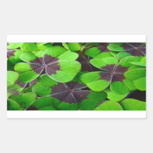 Oxalis Leaves - Red and Green Rectangular Sticker