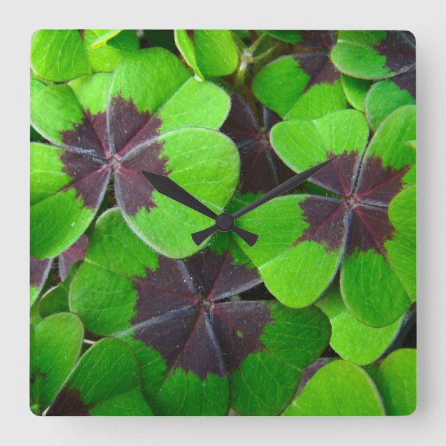Oxalis Leaves - Red and Green Square Wall Clock (Front)