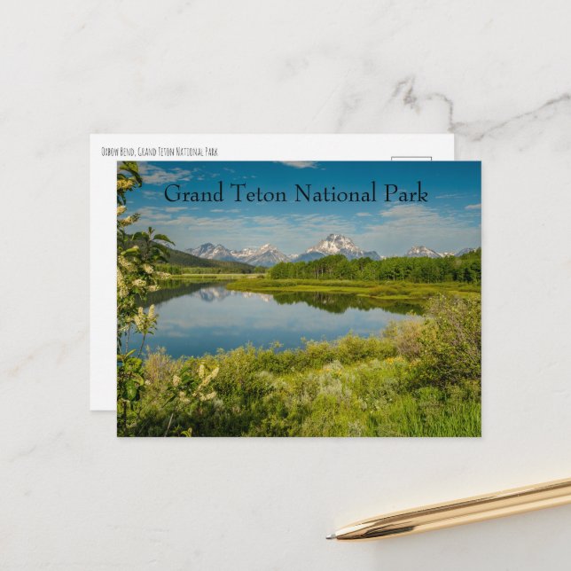 Oxbow Bend Grand Teton National Park Postcard (Front/Back In Situ)
