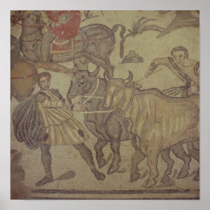Oxen transporting water, Roman mosaic Poster