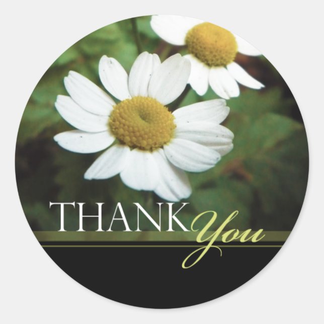 Oxeye Daisy Floral Thank You Envelope Seals (Front)