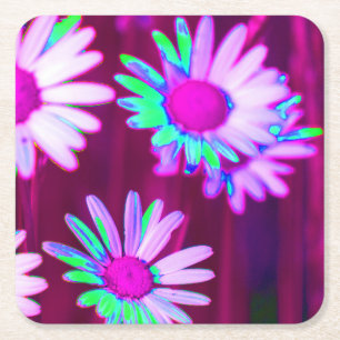 Oxeye Daisy Meadow Pop Art Style Square Paper Coaster