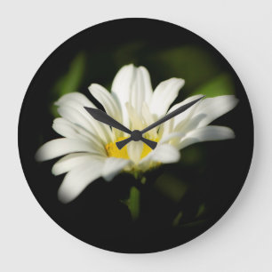 Oxeye Daisy Round Clock
