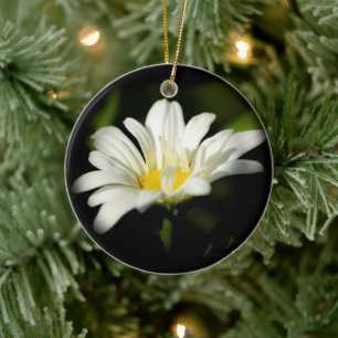 Oxeye Daisy Round Ornament