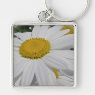 Oxeye Daisy Wildflower Floral Items Key Ring