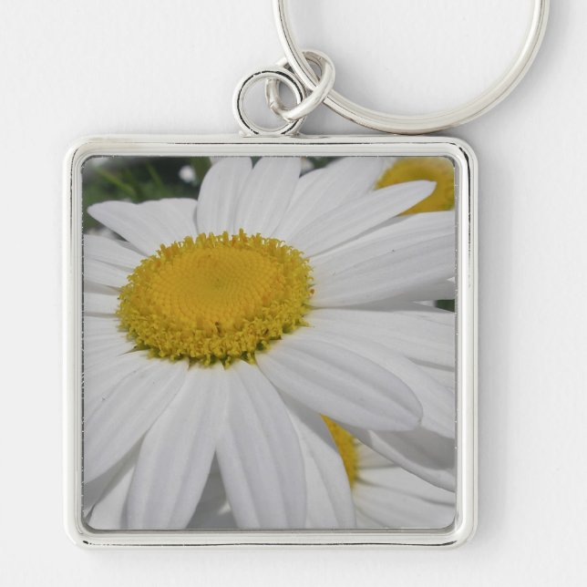 Oxeye Daisy Wildflower Floral Items Key Ring (Front)
