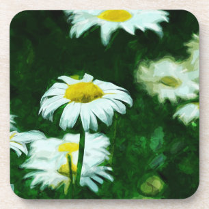 Oxeye White Daisies Abstract Impressionism Coaster