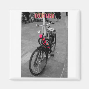 Oxford bike magnet