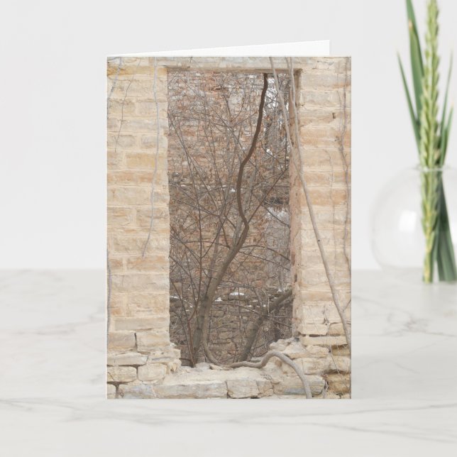 "Oxford Mill Window Vine" Christmas Card (Front)