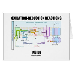 Oxidation-Reduction Reactions Inside
