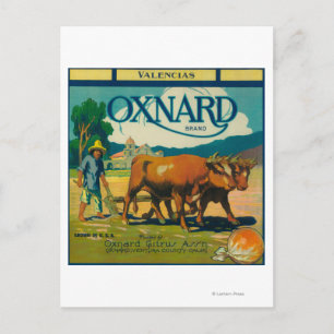 Oxnard Orange LabelOxnard, CA Postcard