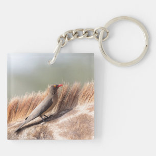Oxpecker on a giraffe key ring