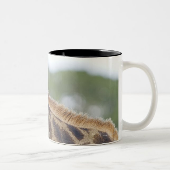 Oxpeckers on Giraffe, Kruger National Park, Two-Tone Coffee Mug (Right)