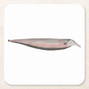 Oxyrhynchus Tube-snouted Ghost Knifefish Square Paper Coaster