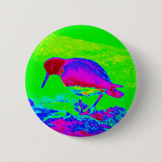 Oyster Catcher 6 Cm Round Badge