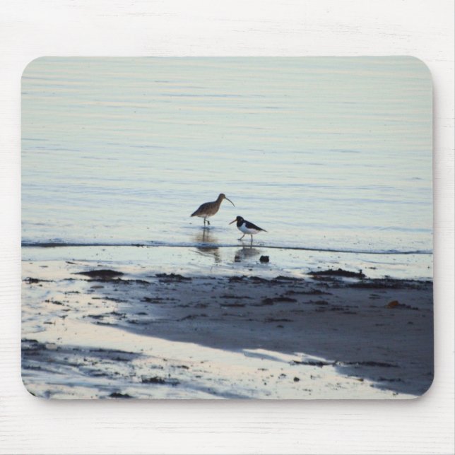 Oyster catcher and Curlew on a beach Mouse Pad (Front)