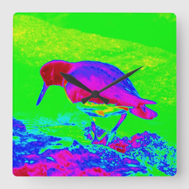 Oyster Catcher Square Wall Clock (Front)