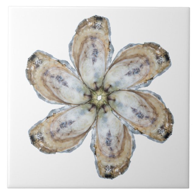 Oyster Flower Tile - Design A White (Front)