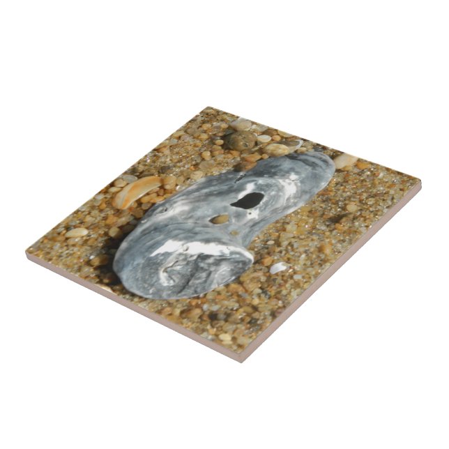 Oyster Shell in Pebble Sand Ceramic Tile (Side)