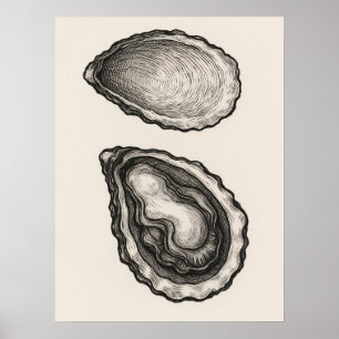 Oyster Shell Minimalist Coastal Sketch Art Poster