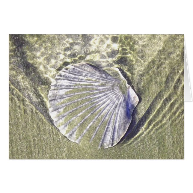 Oyster Shell Underwater (Front Horizontal)