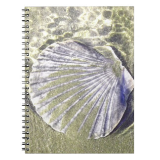 Oyster Shell Underwater Notebook